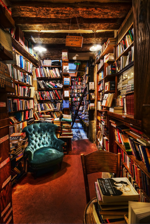 shakespeare and company room