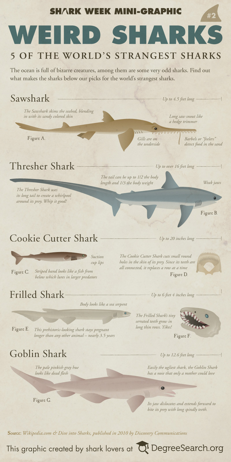 Shark Week: 5 Weird Sharks [infographic]