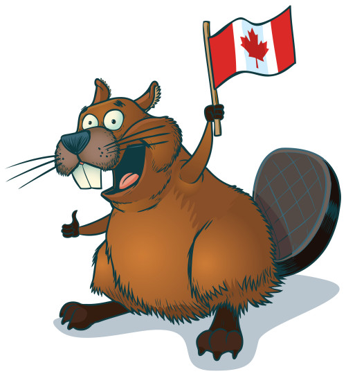 Vector Cartoon Beaver with Canadian Flag