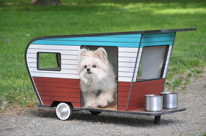 PetCamper3