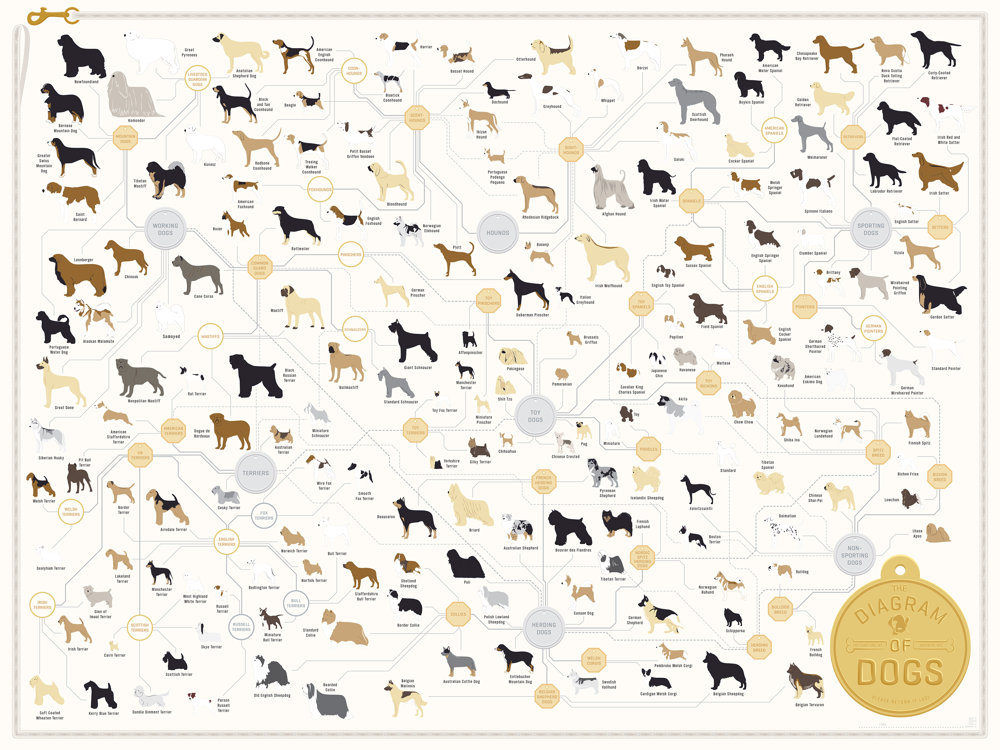 a dog lovers delight the breed family tree chart alltop viral dog charts