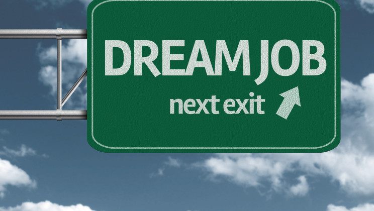 finding a career