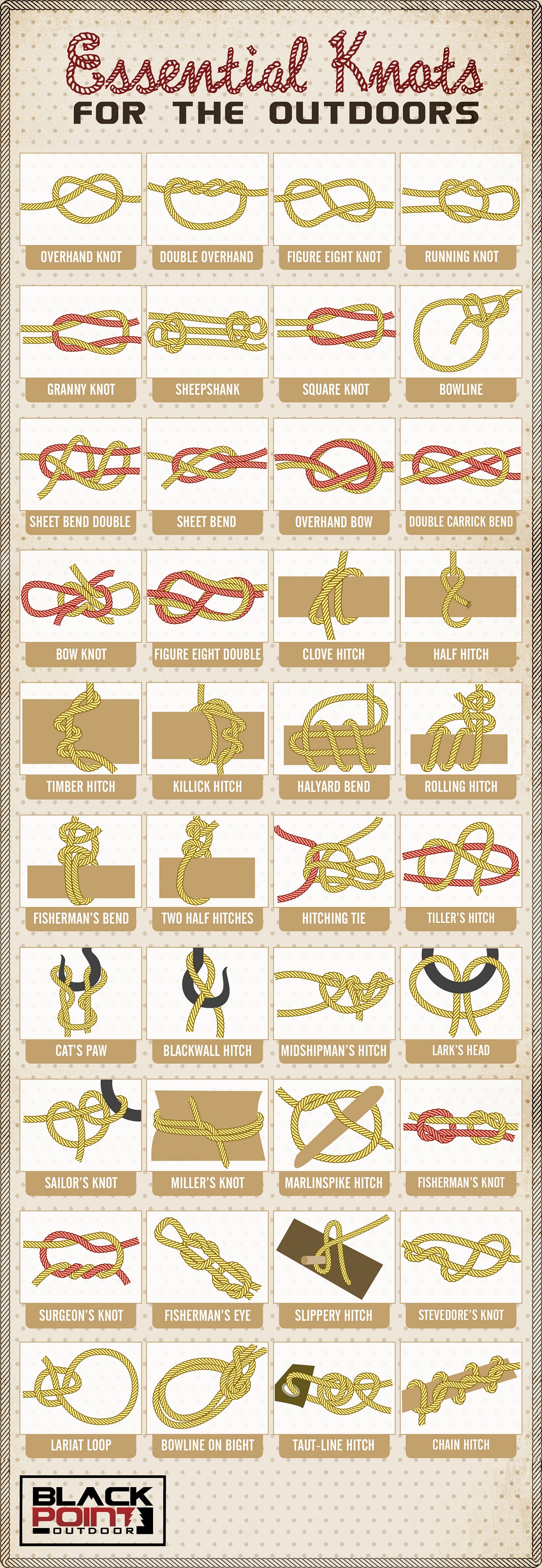 Fourty-Knots-infographics-1